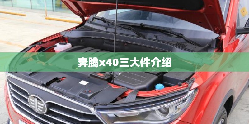 【实用】植树节活动方案模板五篇