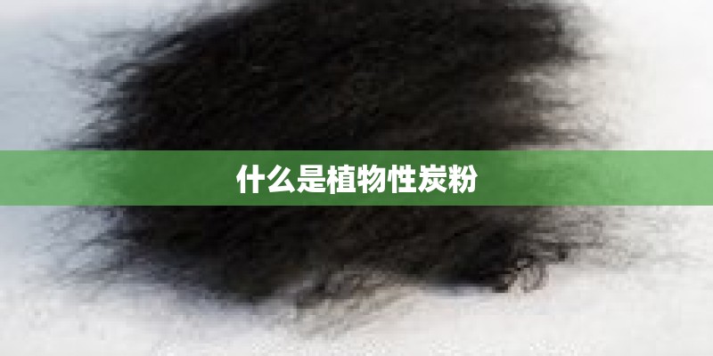 什么是植物性炭粉 什么是植物性炭粉