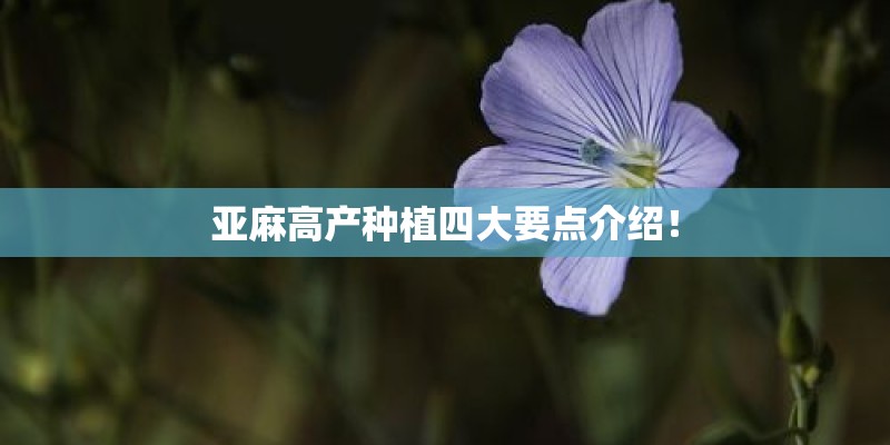 亚麻高产种植四大要点介绍！