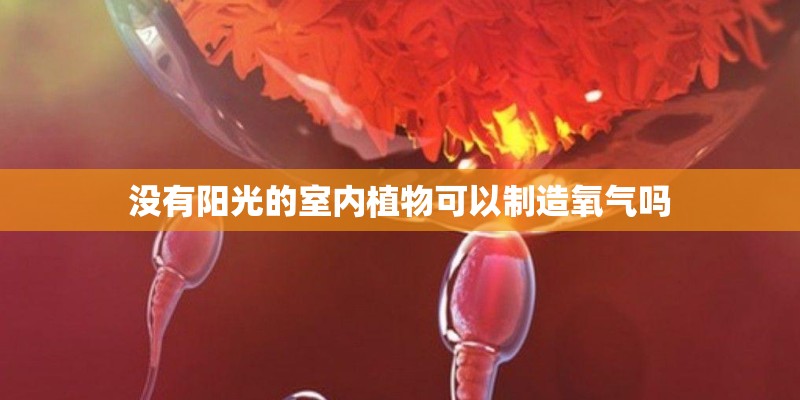 没有阳光的室内植物可以制造氧气吗