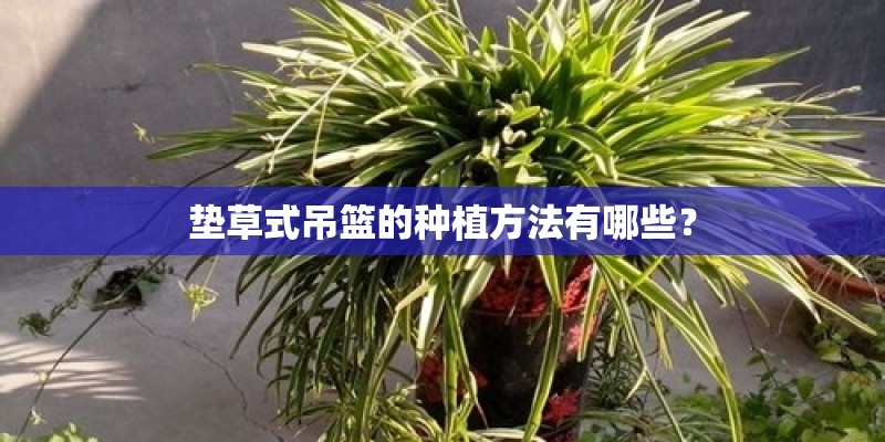 国产音响十大名牌