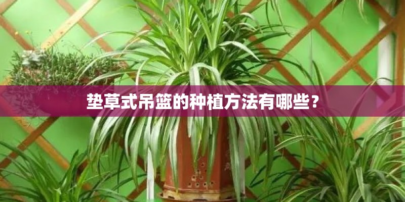 垫草式吊篮的种植方法有哪些? 垫草式吊篮的种植方法有哪些?