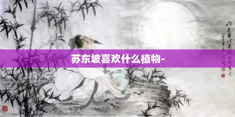 国产音响十大名牌