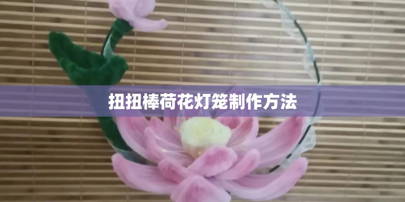 扭扭棒荷花灯笼制作方法 扭扭棒荷花灯笼制作方法