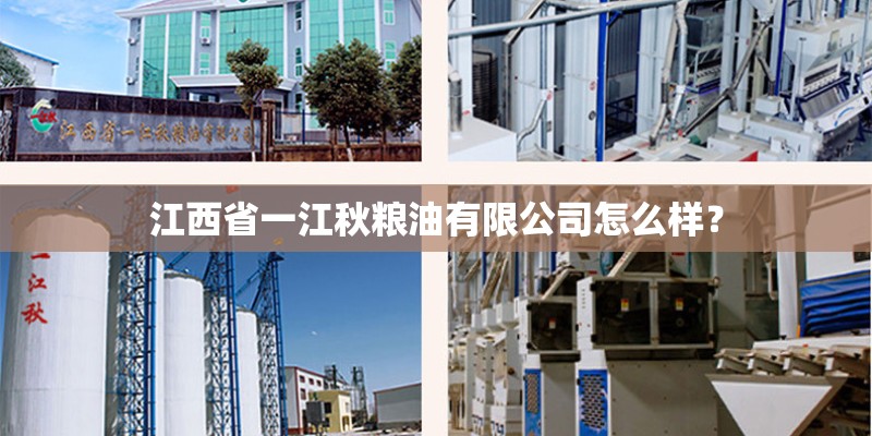 石斛花是怎么栽种在树上的