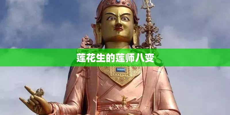 软枣猕猴桃怎么种植