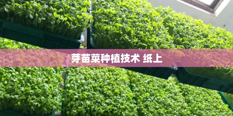 芽苗菜种植技术 纸上