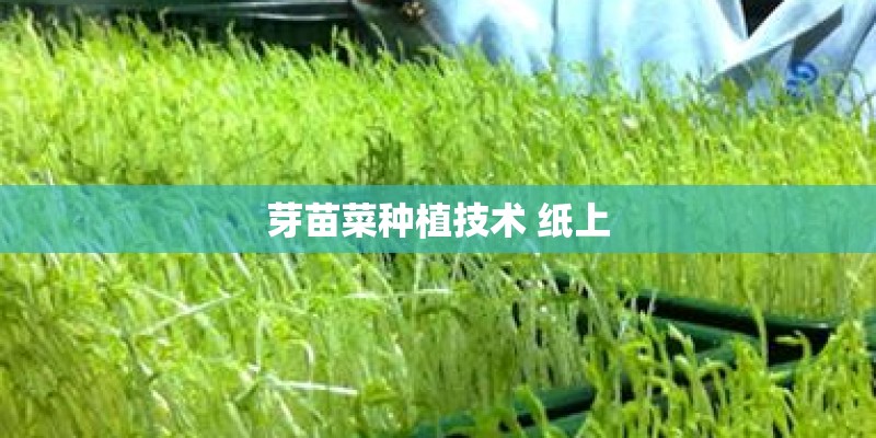 芽苗菜种植技术 纸上