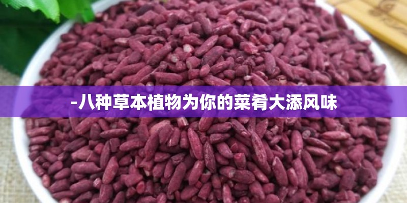 -八种草本植物为你的菜肴大添风味 -八种草本植物为你的菜肴大添风味