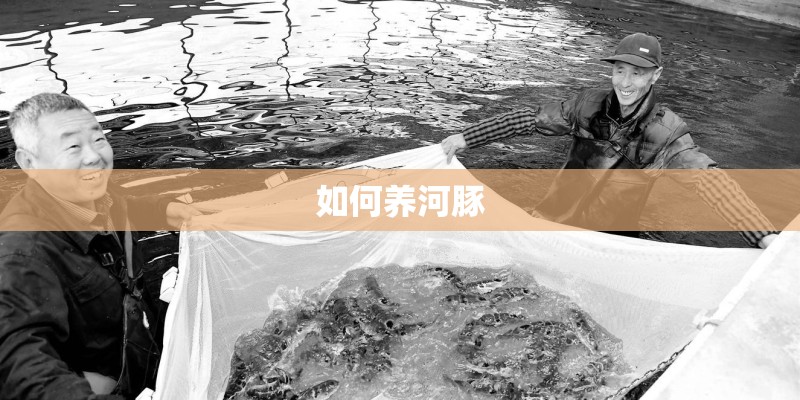国产音响十大名牌