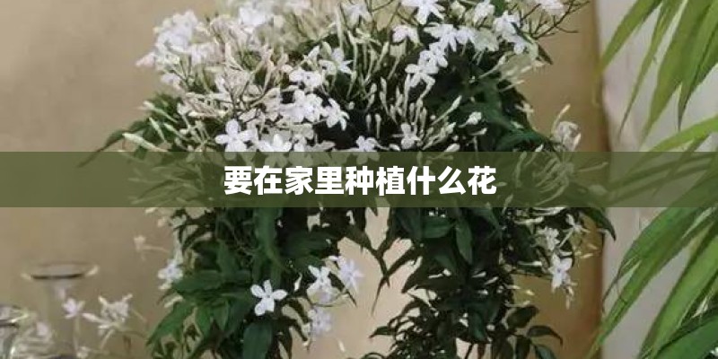 华为鸿蒙最纯正概念股_1