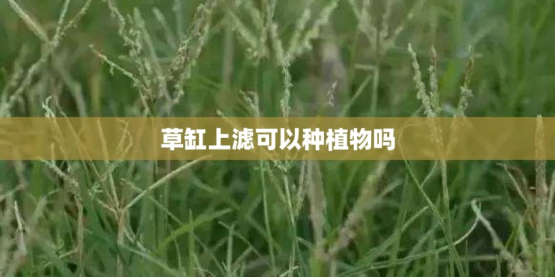 定边县天气预报定边县天气预报