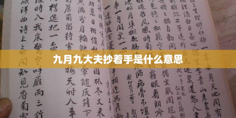 九月九大夫抄着手是什么意思