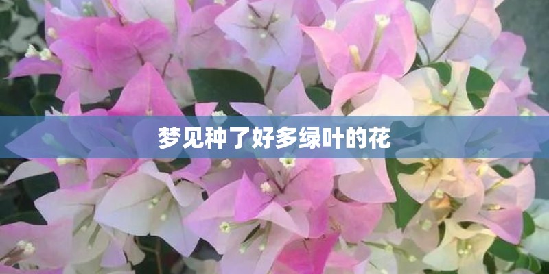 种地不用化肥行不行？