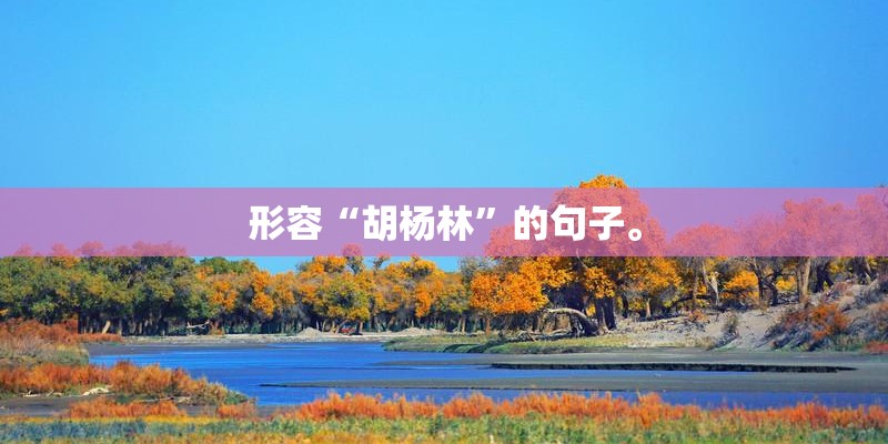形容“胡杨林”的句子。