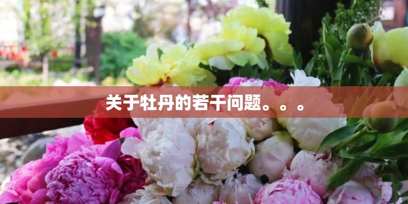 关于牡丹的若干问题。。。