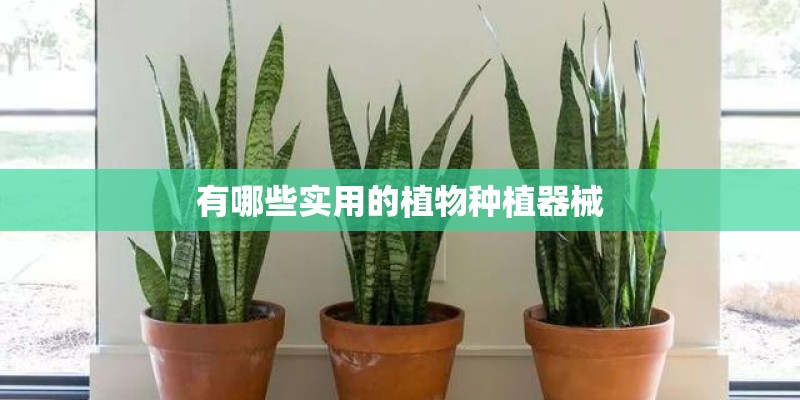 有哪些实用的植物种植器械