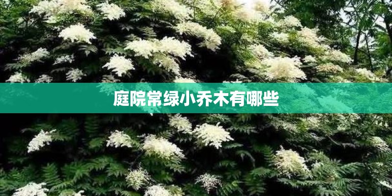 生产路虎的汽车公司有哪几家
