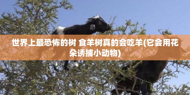 杭州小河路小区二手房均价多少钱一平米？