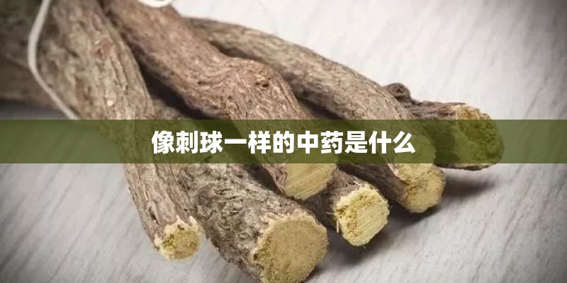 北京的学区房真的降价了吗？