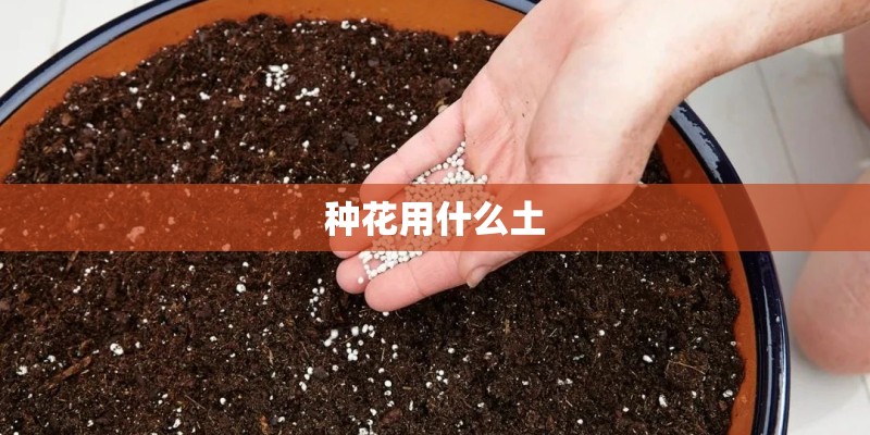 种花用什么土