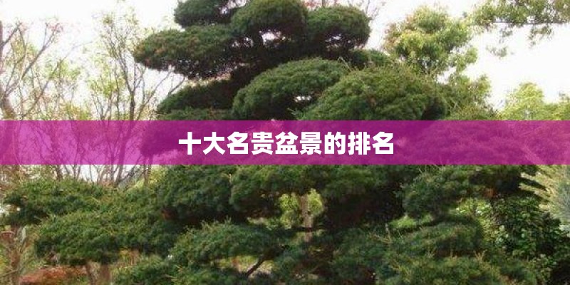 十大名贵盆景的排名