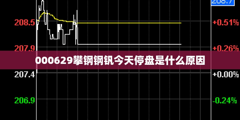 000629攀钢钢钒今天停盘是什么原因