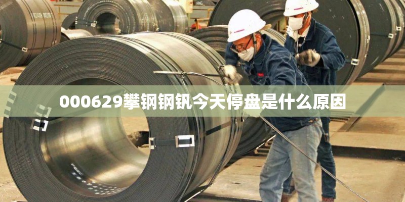 000629攀钢钢钒今天停盘是什么原因