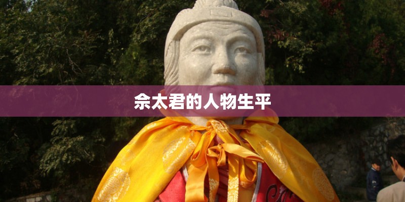 二手房买卖合同丢了可以补吗