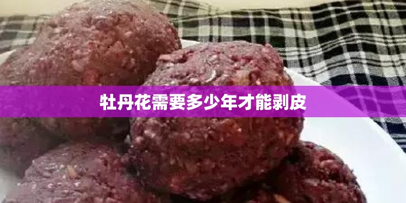 为什么家里不能养百合花