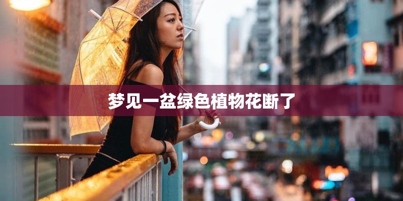 梦见一盆绿色植物花断了