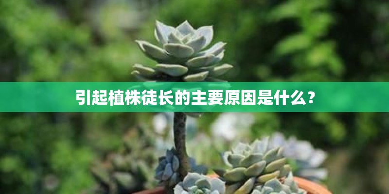 密云高档别墅有哪些？