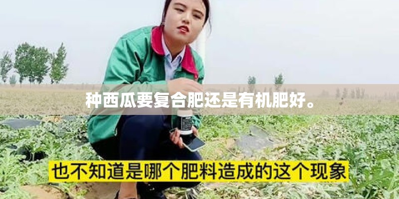 种西瓜要复合肥还是有机肥好。