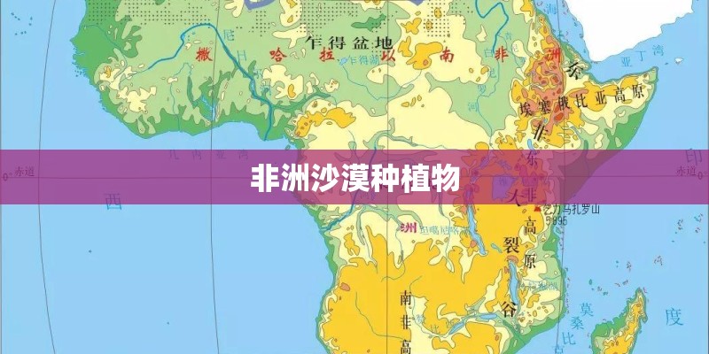 仿写 《 松鼠 》第一段写说明文 写植物或动物。