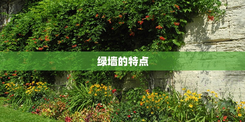 绿墙的特点