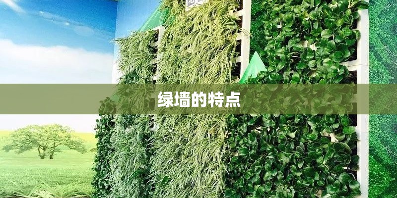 绿墙的特点
