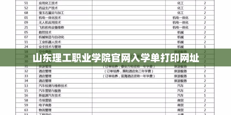 山东理工职业学院官网入学单打印网址