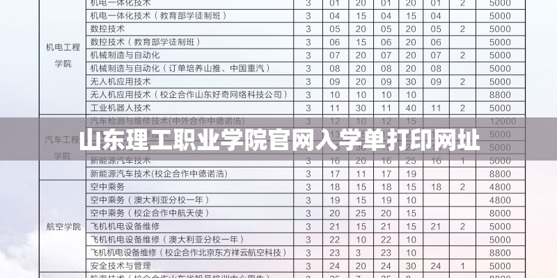 山东理工职业学院官网入学单打印网址