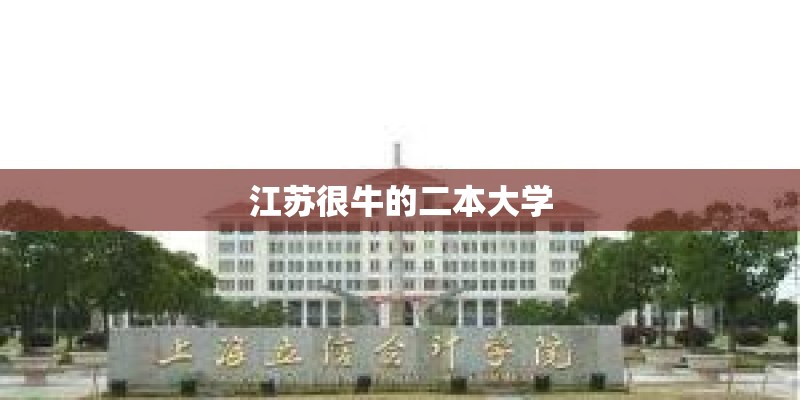 江苏很牛的二本大学