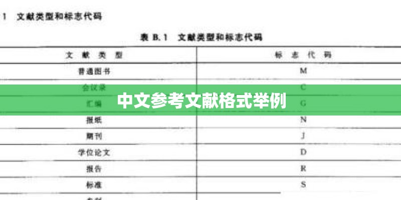 中文参考文献格式举例