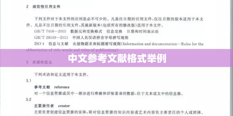 中文参考文献格式举例