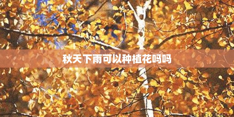 秋天下雨可以种植花吗吗
