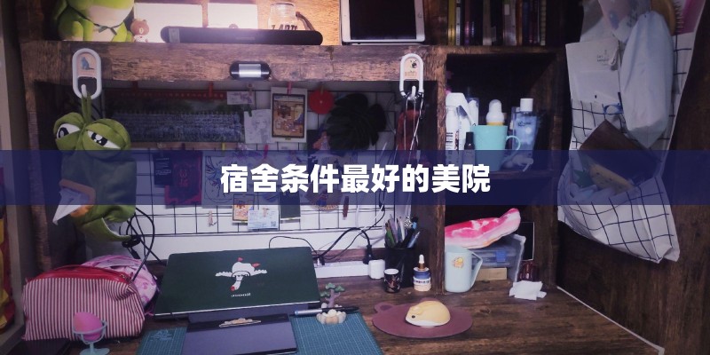 宿舍条件最好的美院