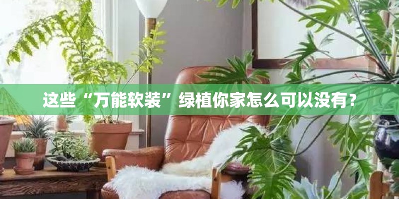 这些“万能软装”绿植你家怎么可以没有？