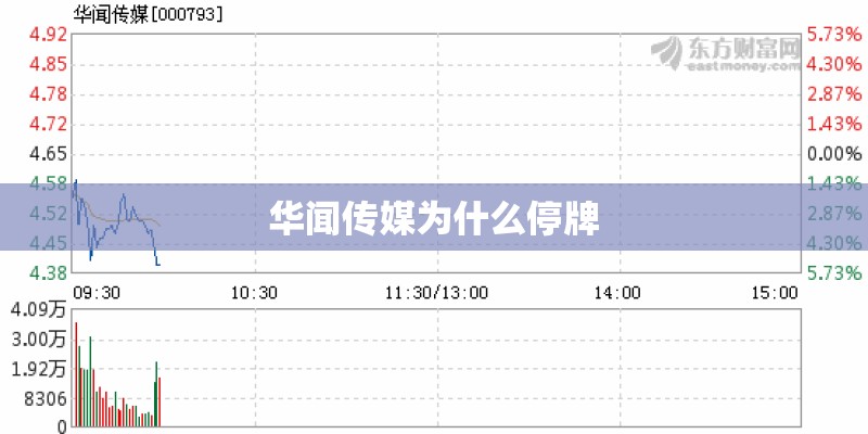 华闻传媒为什么停牌