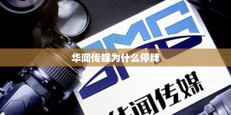 华闻传媒为什么停牌