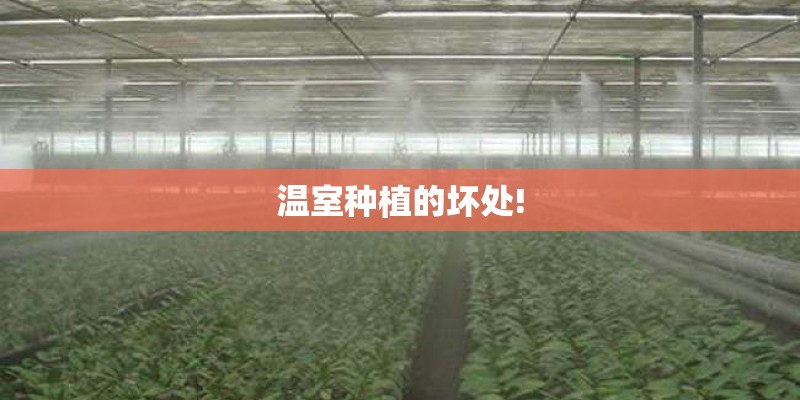 温室种植的坏处!