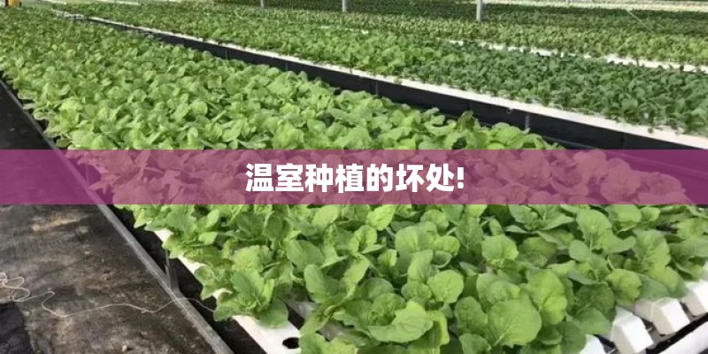 温室种植的坏处!