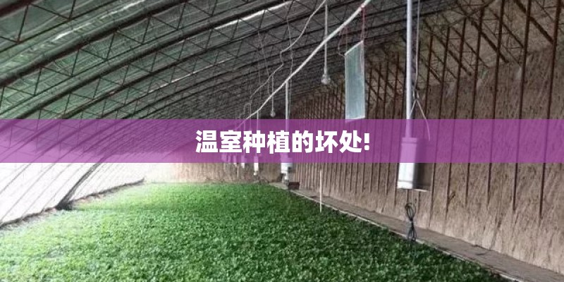 温室种植的坏处!
