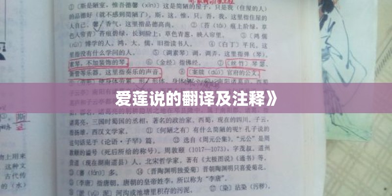 爱莲说的翻译及注释》